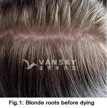 250520161629_Hair-Before Dying-s.jpg